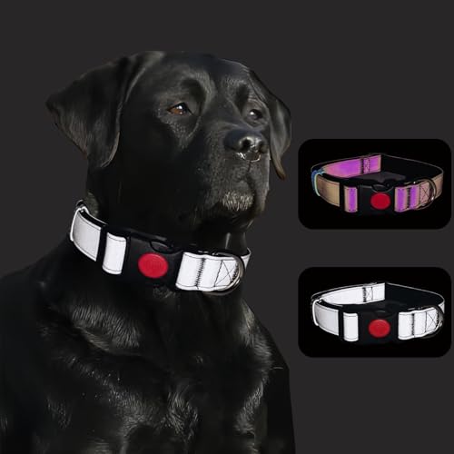 Reflektierendes Hundehalsband, weiches Neopren, gepolstert, atmungsaktiv, Nylon, Haustierhalsband, verstellbar, für kleine, mittelgroße und große Hunde (Silber, L) von Lihtaiyi