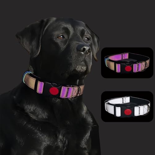 Reflektierendes Hundehalsband, weiches Neopren, gepolstert, atmungsaktiv, Nylon, verstellbar, für kleine, mittelgroße und große Hunde (bunt, L) von Lihtaiyi