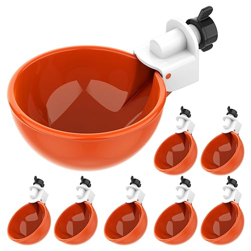 Lil Clucker Große automatische Hühner-Bewässerungsbecher, Hühner-Wasser-Futterspender geeignet für Küken, Enten, Gans, Truthahn und Hasen, Geflügel-Wasser-Futter-Set (Orange), 8 Stück von Lil'Clucker