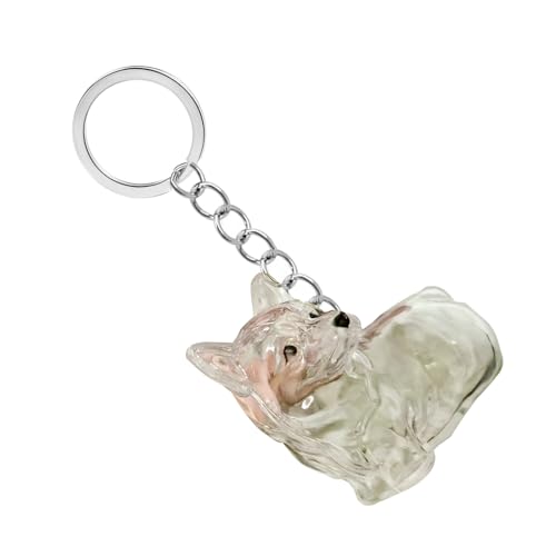 Lilinzhi Clear Dog Fells Storage Box Haarsammler Wasserdichtes Andenken Schlüsselbund Für Haustierbesitzer Um Kostbare Erinnerung Nie Lilinzhi Clear Dog Fells Storage Box Haarsammler Wasserdichtes Andenken Schlüsselbund Für Haustierbesitzer Um Kostbare Erinnerung Nie von Lilinzhi