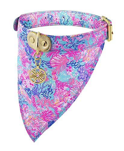 Lilly Pulitzer Verstellbares Hunde-Halstuch, niedliches robustes Kunstleder-Halsband mit Schnappverschluss und Ring für Leine/Etikett, Splendor im Sand (M/L) von Lilly Pulitzer