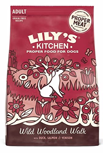 Lily's Kitchen 180926/2321 Wild Woodland Walk Grain-Free Dry Food for Dogs 1kg von Lily's Kitchen