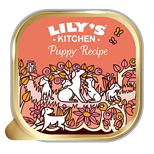 Lily's Kitchen Mit natürlichen Zutaten hergestellt Nassfutter für Welpen Hundefutter Schale Bio- Abendessen mit Huhn und Gemüse 150g von Lily's Kitchen