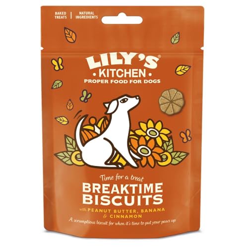 Lily's Kitchen Breaktime Biscuits-80 GR von Lily's Kitchen