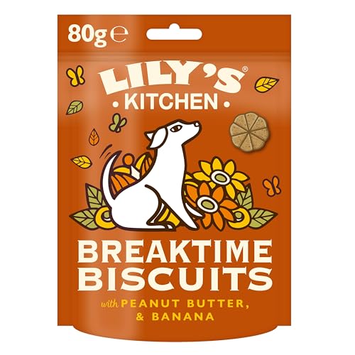 Lily's Kitchen Breaktime Biscuits - Baked Natural Dog Treats (8 x 80g Packs) von Lily's Kitchen