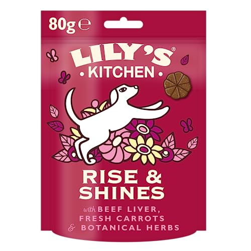 Lily's Kitchen Natürliche Leckerchen Rise & Shine für Hunde nach dem Aufstehen (8 x 80g) von Lily's Kitchen