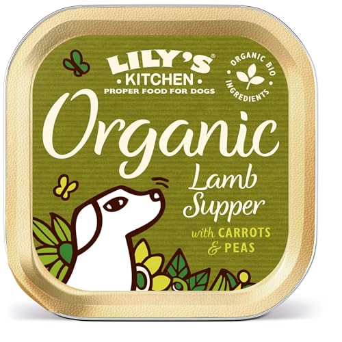 Lily's Kitchen - Pastete mit Huhn & Dinkeln, 11 x 150 g (Schale) von Lily's Kitchen