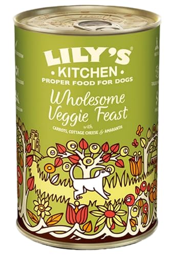 Lily's Kitchen Wholesome Veggie Feast Nassfutter für Hunde, Huhn, 0,375 kg von Lily's Kitchen