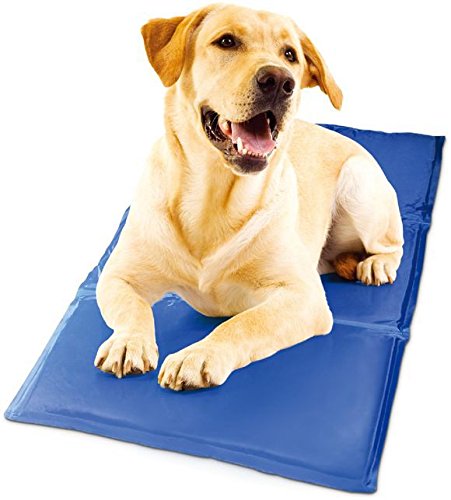 Lily & Her Friends–Kühlendes Gel Pet Mat, Chilly, Cool Bett für Hunde/Katzen, Sommer Automatische Instant Heat Relief nicht giftig Kissen Matratze Pad, Mehrzweck – Böden, Sofas, Betten, Computer Matte von Lily&her friends