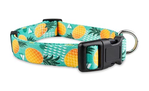 Limeloot Ananas-Hundehalsband, niedlich, verstellbar, für Jungen und Mädchen, Größe L von Limeloot