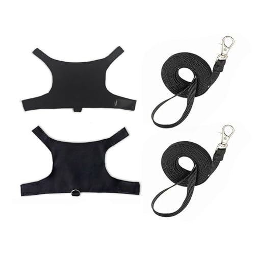 Limtula Bartagamen Gehgeschirr Und Leine Set Für Outdoor Walking Training Sicheres Trainingsgeschirr Reptilien Kleidung 2 Set von Limtula