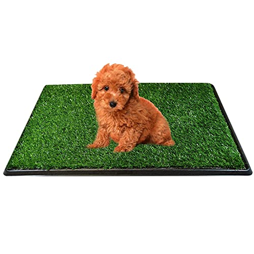 Limtula Hund Gras Pee Pads Künstliche Gras Matte Für Indoor Hunde Liefert Badezimmer Toilette Töpfchen Pad Mit Abnehmbaren Gras Haustier Toilette Matte von Limtula