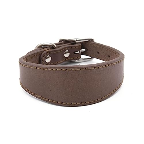 Weiches Leder Hunde Halsband Verstellbare Hunde Halsbänder für Outdoor Walking Lurchers Windhunde Welpen Halsband Haustier Hunde Versorgung von Limtula