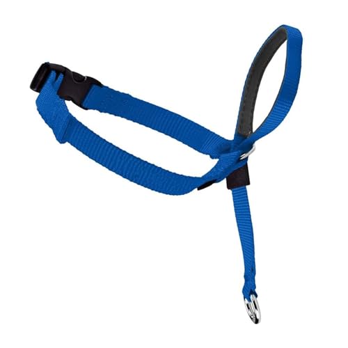 KANGYEBAIHUODIAN Einstellbare Nylon Hund Haustier Hund Gepolsterte Kopf Kragen Sanfte Halfter Leine Führer Stoppen Ziehen Ausbildung Maulkörbe Werkzeuge Hund Fit for Zubehör (Color : Blue, Size : L von LinCys