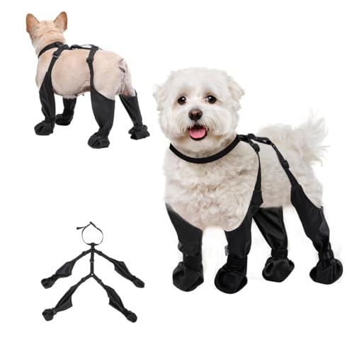 Hosenträger für Hunde, wasserdichter Pfotenschutz, Hundestiefel-Leggings für kleine und mittelgroße Hunde, Hundestiefel mit Hilfsgurt, Thermo-Hundeschuhe für Winter, Regen, Schnee (M) von LinZong