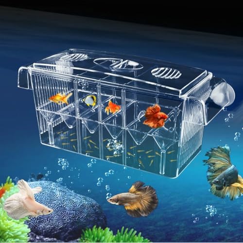 LinaLife Multifunktionale Fischzuchtbox 4 Zimmer Aquarium Züchter Box mit Saugnäpfen Fisch Baby Brutkasten Acryl Fisch Inkubator Isolationsbox für Guppy Baby Fisch Brutkasten Verletzte Schwangere von LinaLife