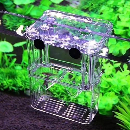 LinaLife Multifunktionales Fisch-Aquarium, hochklare Fischzucht-Isolationsbox, Aquarium, Züchter, Fischtank, Doppel-Guppies, Brutkasten, Trennwand, für verletzte, schwangere Fische von LinaLife