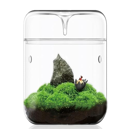 Kleines Glas-Pflanzenterrarium 12x17,5 cm Sukkulenten-Luftplanter Farnmoos Mikrolandschaftsvase für die Dekoration von Hausgärten Büro-Tischplatte Behälter mit Deckel Innen-Wardian DIY-Geschenk von LingTing