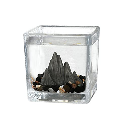 Aquarium Desktop, quadratisch, kleines Aquarium, Gästezimmer, Büro, kleine Einrichtung, Teetasse, Glas, Landschaftsbau, kämpfendes Aquarium Goldfischbecken (Size : C) von Linmeas-753