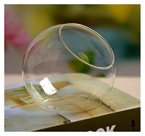 Aquarium Europäischer Stil kreativer exquisiter und ästhetischer abgeschrägter Glas Mini-Fischtank Runde Vase Mode Dekoration Handwerk Goldfischbecken (Color : White, Size : Diameter 8cm) von Linmeas-753