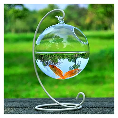 Aquarium Runde Form Hängen Glas Aquarium Fischschüssel Fischtank Blume Pflanze Vase mit Höhengestell Halter Home Decoration Goldfischbecken (Color : WT) von Linmeas-753