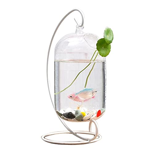 Linmeas-753 Aquarium Kreative Glas Transparent Rack Aquarium Rack Betta Aquarium Zierfische Tank Wasser Pflanze Tank Büro Haushalt Goldfischbecken von Linmeas-753