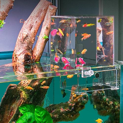 Fischturm Transparenter Acryl Unterdruck Fischturm, Luftverlängerungs-Aquarium, Vakuum-aufgehängtes Aquarium Für Die Ökologische Landschaftsgestaltung, Bequeme Beobachtung von Linsition