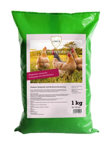 Linsor Futterweide, Samen Mischung mit Wildkräuter- und Weidegras, Saatgut für Kleintier, Haustier und Nutztier, 1kg für 100m² von Linsor