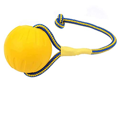 Lintat Schwimmender Haustier-Trainingsball, Hundeball-Wurfspielzeug, bissfester Ball Welpen mit 35 cm Langer Schnur von Lintat