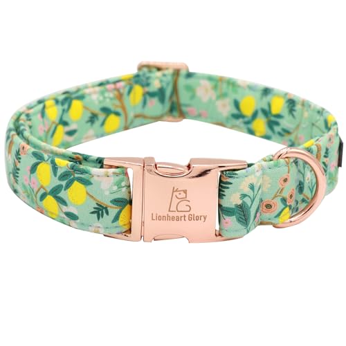 Lionheart glory Premium Hundehalsband mit Blumenmuster, niedlich, Frühling, verstellbar, weich, für Mädchen, Haustierhalsbänder für große Hunde, Welpengeschenk von Lionheart glory