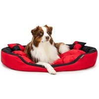 Lionto 4-in-1 Hundebett L von Lionto