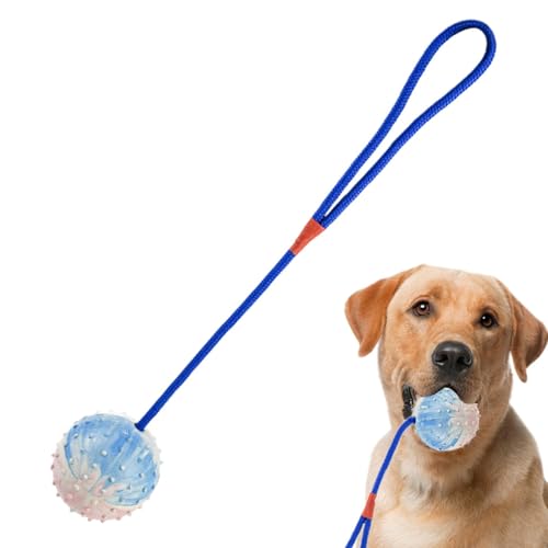 Ball am Seil Hundespielzeug – Interaktiver Haustierball mit Seil, bissfester Hundeball | Quietschendes Kauspielzeug Training Zerrball Launcher für Welpen & Rasse von Liqzirtu