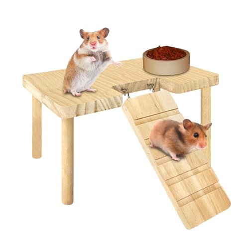 Hamster-Meerschweinchen-Spielzeug - Haus Spielzeug Hamster Plattform Treppe Leiter | Hamster-Rennmäuse-Mäusekäfig-Zubehör, Hamster-Kletterspielzeug, Sprungbrett, Spielplatz für Hamster von Liqzirtu