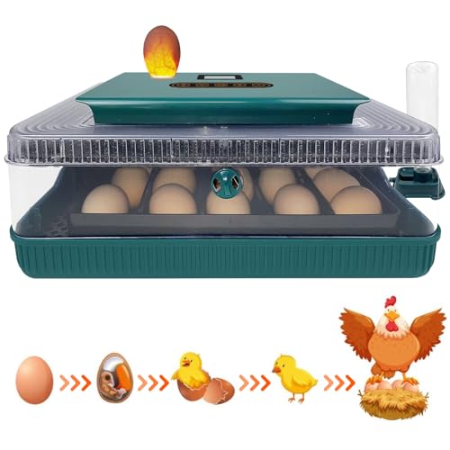 25 Eier Brutkasten für Bruteier Huhn, Automatisches Eierdrehen und Feuchtigkeitskontrolle, Eierkerzer, 360°-Ansicht mit klarem Fenster, Brutkästen für Hühnerei (Grün) von LitaiL