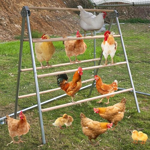 Hühnerstange für Stall, große Hühner-Roosting Bars/Leiter für Hinterhof-Geflügel, stabile stehende Hühnerwurzel und Hühnerlauf, Zubehör, Spielzeug (104,4 cm L x 111,8 cm B) von LitaiL