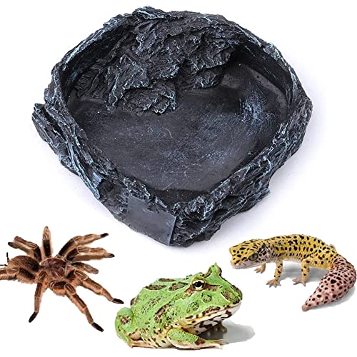 Litewoo Reptilien-Futternapf Futter Wasser Harz Futternapf für Haustier Vivarium Schildkröte Gecko Schlange Natur Form Schüssel A von Litewoo