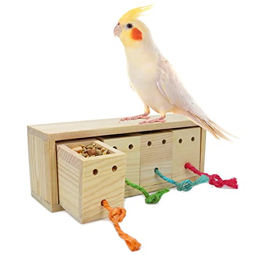 Litewoo Vogelfutterstation Futterspender Spielzeug Training Intelligenz Box Holz für Papagei Wellensittich Sittiche Nymphensittiche Sittiche von Litewoo