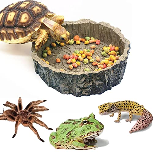 Reptile Füttern Schüssel Speisen Wasser Kunstharz Dish für Haustier Vivarium Schildkröte Gecko Schlange Natürliche Form Schale von awhao-2008 von Litewoo