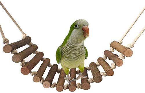 Vogelkletterleiter Schaukel Kauspielzeug Hängende Papagei Sitzstange Ständer Spielzeug Flexible Brücke Naturholz für Sittiche Lovebird Nymphensittiche Afrika Grau Kakadu Conure Fink Käfig Zubehör von Litewoo