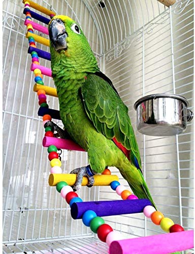 Vogelleiter Spielzeug Kletterbrücke Holz Papagei Schaukel für Sittiche Nymphensittiche Afrikanische Grau Lovebird Finken Wellensittich Kakadu Conure Amazon Käfig Zubehör von Litewoo