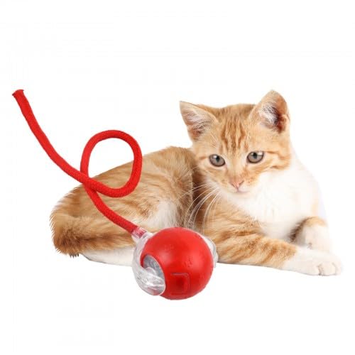 Litinliv Katzenspielzeug,Elektrisches Katzenball Spielzeug mit LED, Intelligente Hindernisvermeidung,Interaktivespielzeug für Katzen, Selbstbeschäftigung Katzenball mit 2 Ersatzschwanz Aufladbar Rot Litinliv Katzenspielzeug,Elektrisches Katzenball Spielzeug mit LED, Intelligente Hindernisvermeidung,Interaktivespielzeug für Katzen, Selbstbeschäftigung Katzenball mit 2 Ersatzschwanz Aufladbar Rot von Litinliv