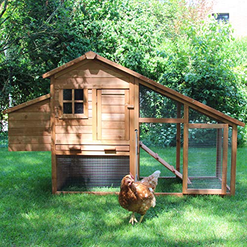 Hühnerstall Henrietta Hühnerstall Hühnerstall Geflügelkäfig mit Nistkasten, Sitzstange, Auslauf ideal für 2 bis 3 Hühner, Holz, rostbeständiges Netz, Outdoor von Little Croft