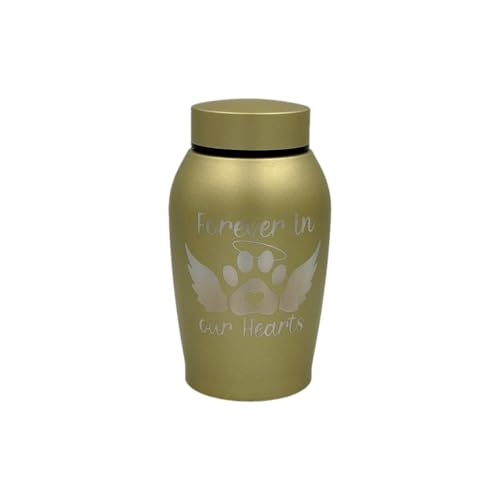 Little Family Members Pet Cremation Urn Engraved Stainless Steel Medium Gold D2 von Little Family Members