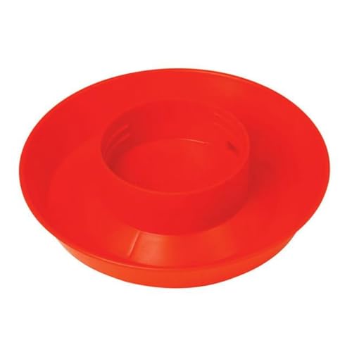 Little Giant 75823 1 qt. Wasserbasis für Geflügel, rot von Little Giant