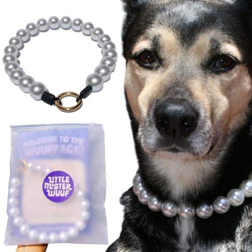 LITTLE MISTER WUUF White Pearl Hundehalsband, bezauberndes und langlebiges Perlen-Hundehalsband für mittelgroße und große Hunderassen (Weiß, 40,6 cm Innenumfang) von Little Mister Wuuf