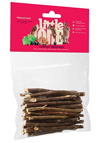 Little One Snack Johannisbeerzweige im Beutel, 1er Pack (1 x 50 g) von Little One