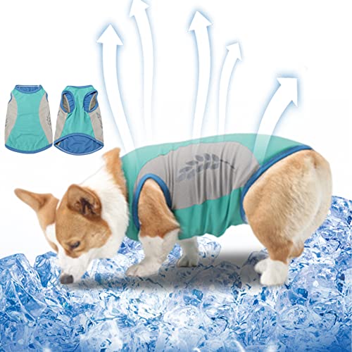 Hundekleidung Accessoires, Hundekühlung Weste Reflektierende Haustierkühlung Jacke Sommer Hundekühler Kleidung zum Wandern von Liummrcy