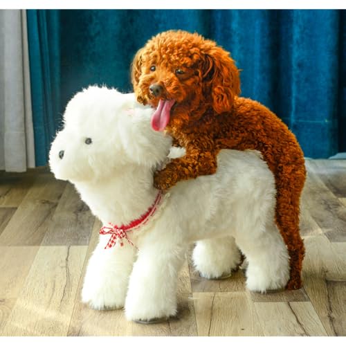 Liummrcy Hundespielzeug, Silikonsimulation Paarung Hundespielzeug Männlich männliche Haustier -Estrus -Lüftungshundspielzeug für kleine Hunde Bulldoggen Teddy Dog Accesories, 25 cm von Liummrcy