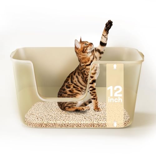 LivLab Extra große Katzentoilette – 62,5 x 42,4 x 32,3 cm in Katzentoilette, hochseitige Katzentoilette, PP-Material, Katzentoilette, BPA-frei (BJH) von LivLab