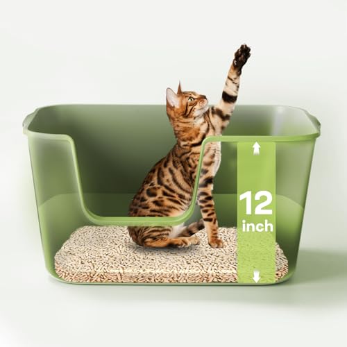 LivLab Katzentoilette – 62,5 x 42,4 x 32,3 cm, extra große Katzentoilette für große Katzen, hohe Seiten und niedriger Eingang, langlebiges BPA-freies PP-Material, leicht zu reinigen und zu pflegen von LivLab